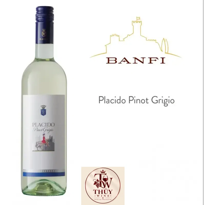 Vang Ý Placido Pinot Grigio Banfi Thượng hạng