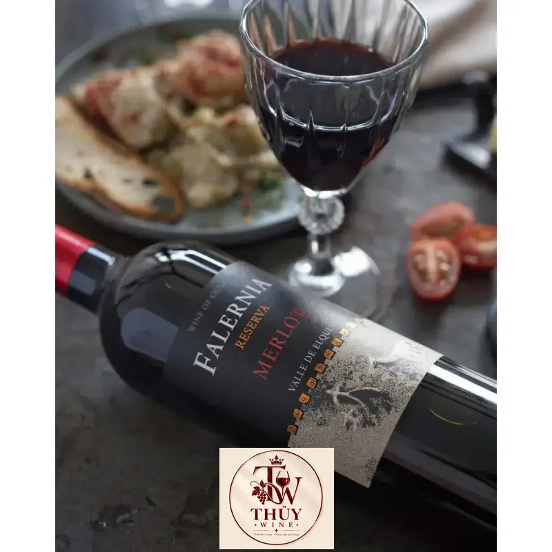 Giá vang chile falernia merlot reserva