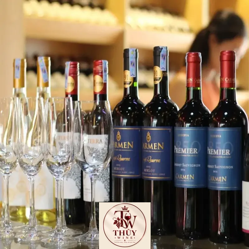 Vang Chile CARMEN PREMIER RESERVA CABERNET SAUVIGNON