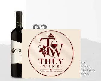 Vang Chile Cien Carignan