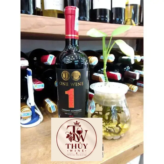 Giá ruou vang chile one wine gia re nhat