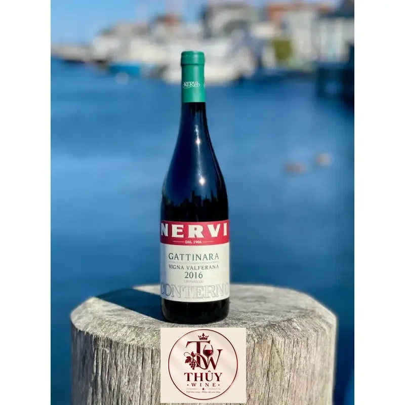 Địa chỉ bán ruou vang y conterno nervi gattinara vigna valferana giá rẻ tại Sài Gòn