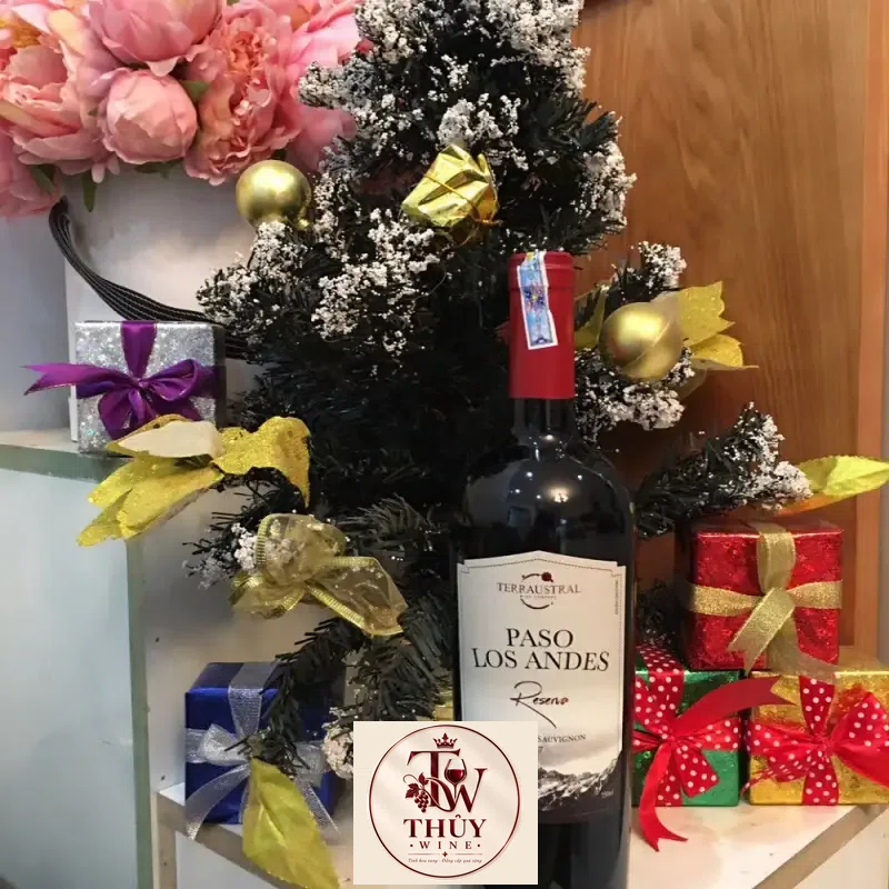 Địa chỉ bán vang chile paso los andes reserva red do giá rẻ tại Sài Gòn