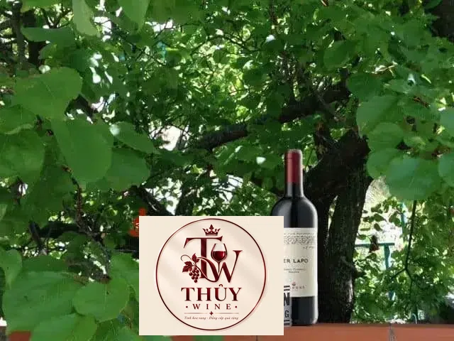 Vang Ý Ser Lapo Mazzei Chianti Classico Riserva
