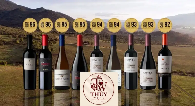 Outstanding scores for Viña Koyle in Descorchados 2020 – Viña Koyle