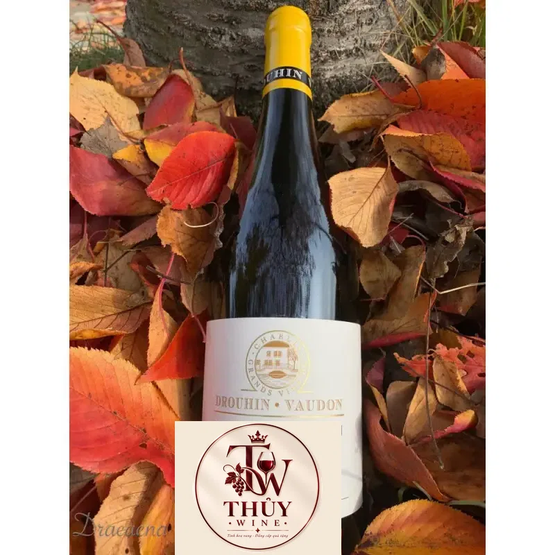 Vang Pháp Joseph Drouhin Chablis Cru Montmains