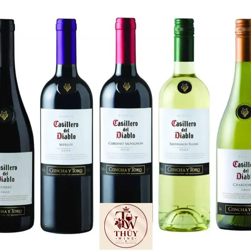 Giá vang chile casillero del diablo sauvignon blanc concha y toro