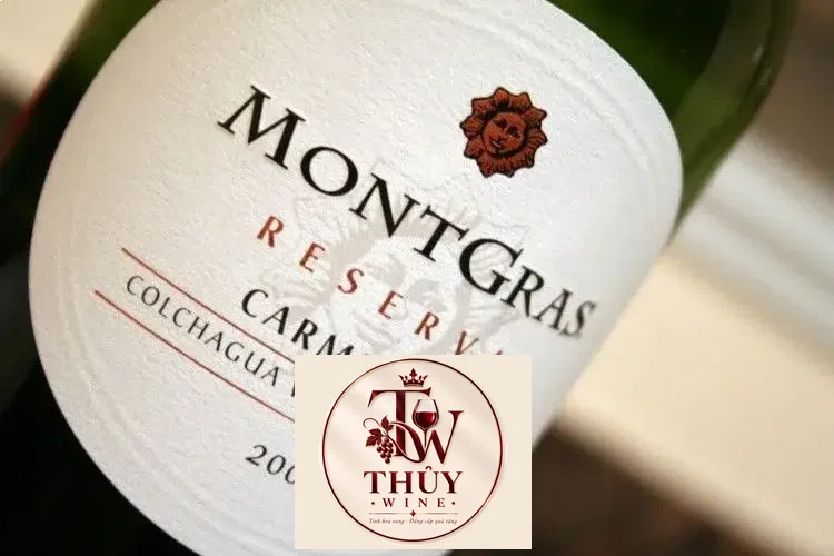 Vang Chile MONTGRAS Reserva Carmenere