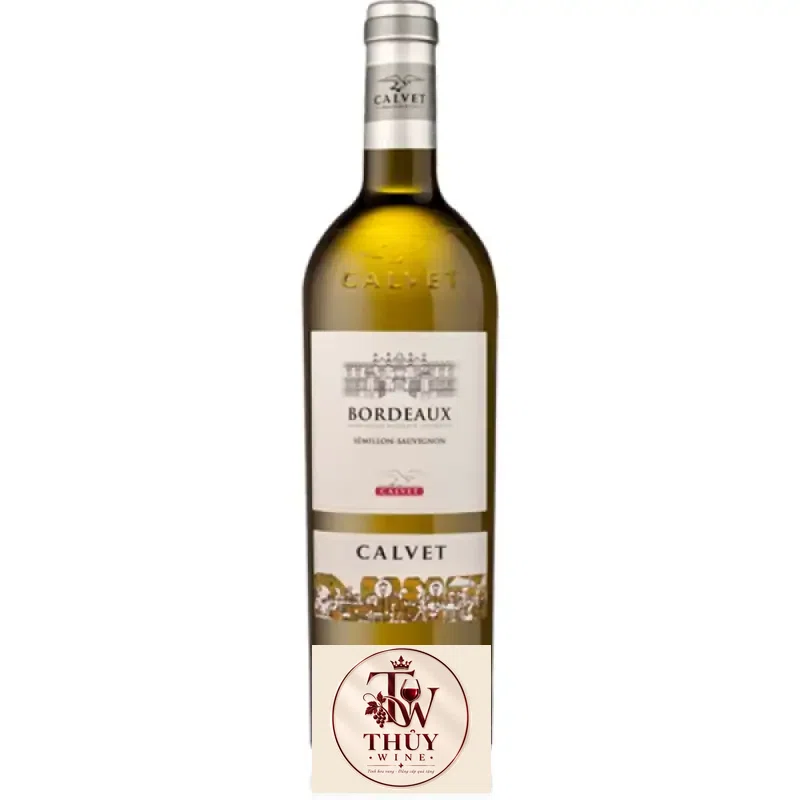 Vang Pháp Calvet Conversation Sauvignon Blanc Bordeaux uống ngon