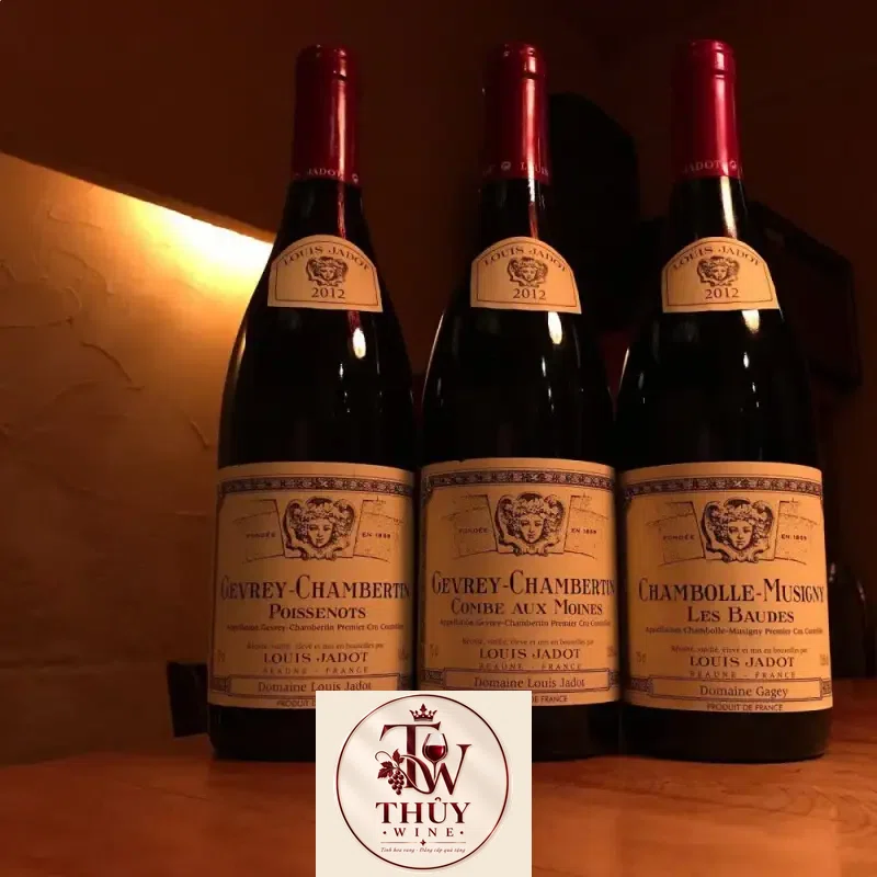 Vang Pháp Chambolle Musigny Les Baudes Louis Jadot cao cấp