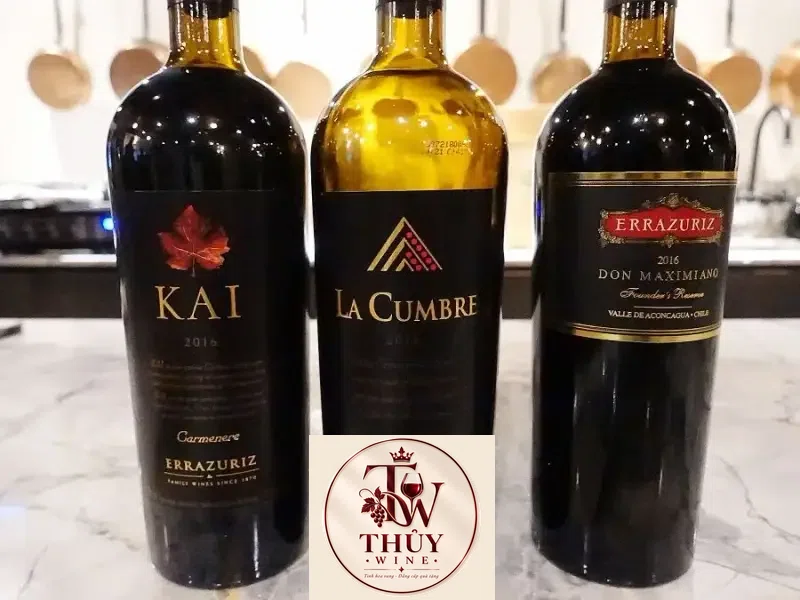 Kết quả hình ảnh cho LA CUMBRE SYRAH 2016