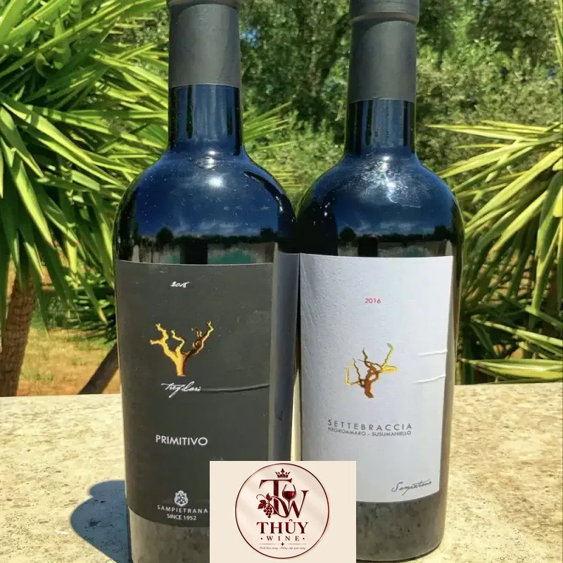 Địa chỉ mua ruou vang y trefilari primitivo sampietrana salento giá rẻ nhất