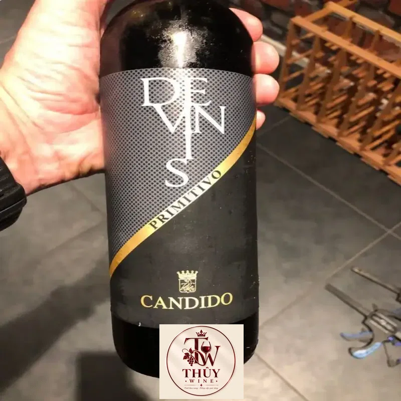 Giá vang y candido devinis primitivo salento