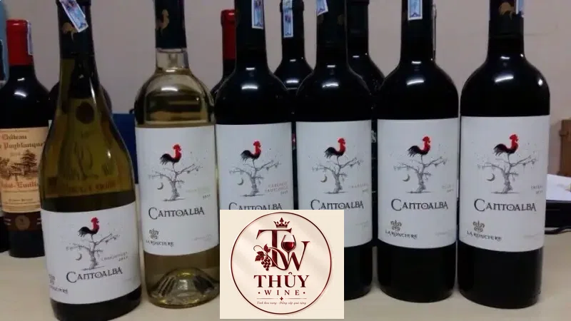 Vang Chile Cantoalba Malbec