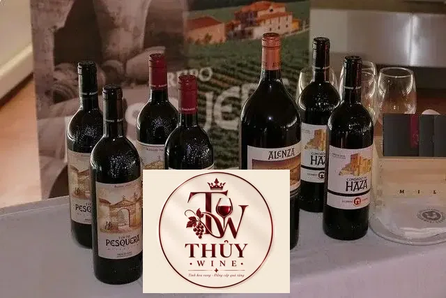 Vang Tây Ban Nha CONDADO DE HAZA