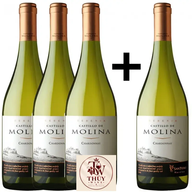 Địa chỉ bán vang chile castillo de molina reserva chardonnay chiet khau cao giá rẻ tại Hà Nội