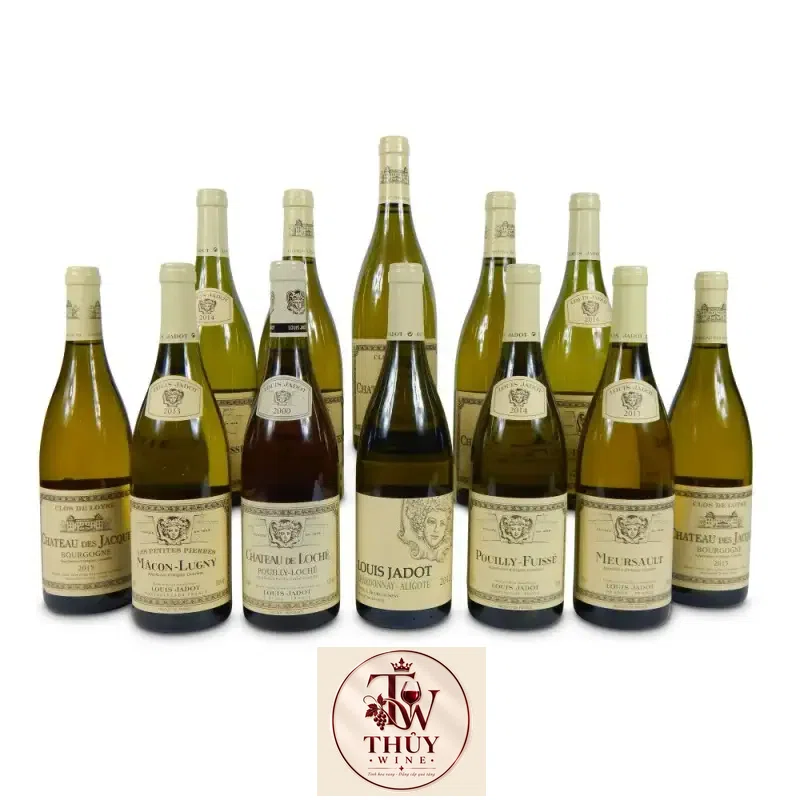 Địa chỉ bán vang phap bourgogne aligote louis jadot giá rẻ nhất