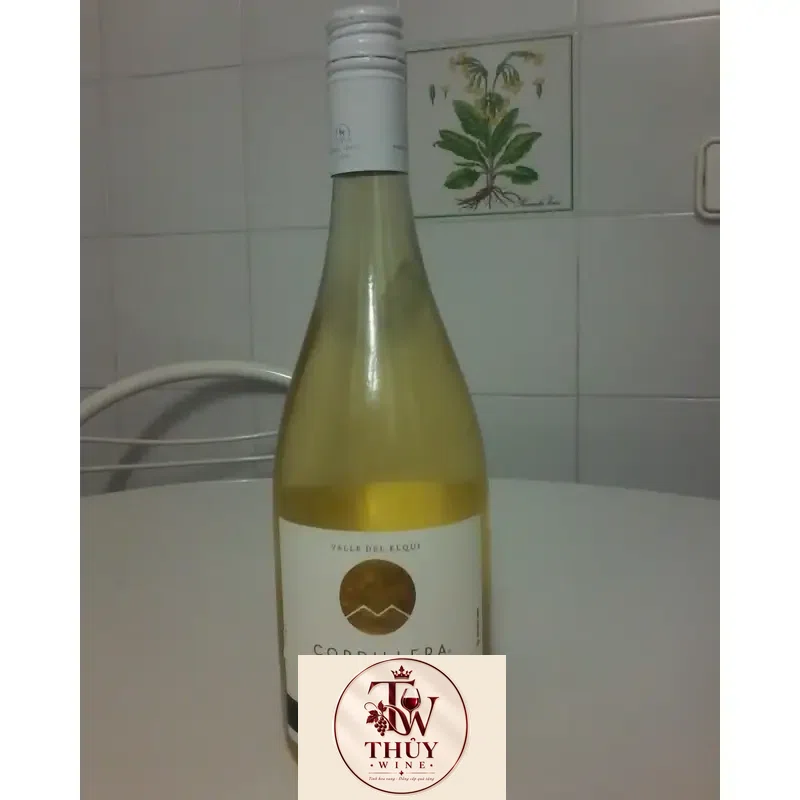 Vang Chile Cordillera Miguel Torres Sauvignon Blanc