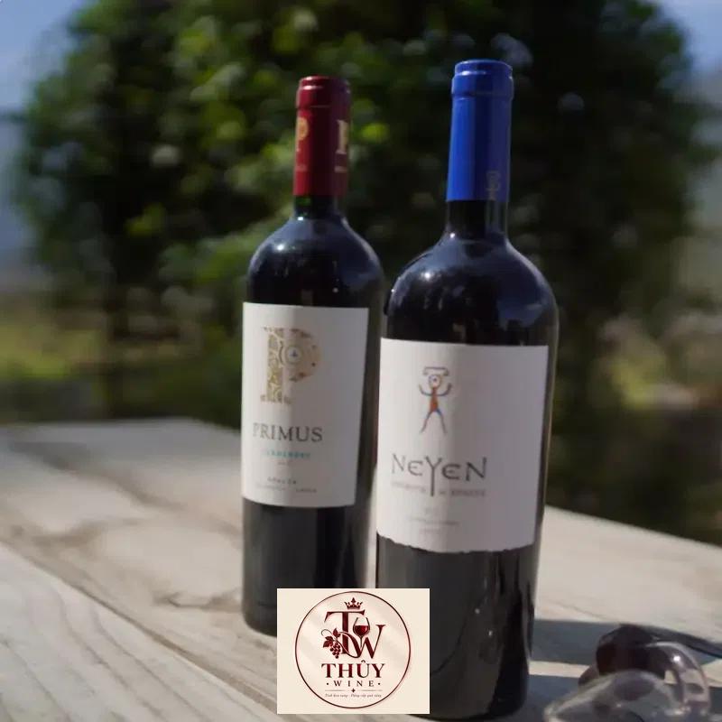 Mua vang chile neyen espiritu de apalta giá rẻ tại Sài Gòn