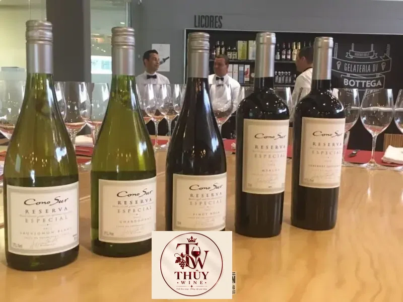 Vang Chile CONO SUR RESERVA ESPECIAL SAUVIGNON BLANC