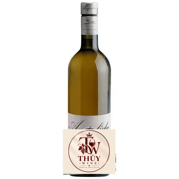 Vang Pháp Ampelidae Le S Sauvignon thượng hạng