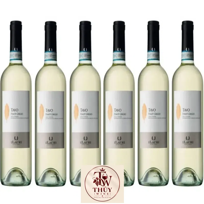 Giá vang y ilauri tavo pinot grigio