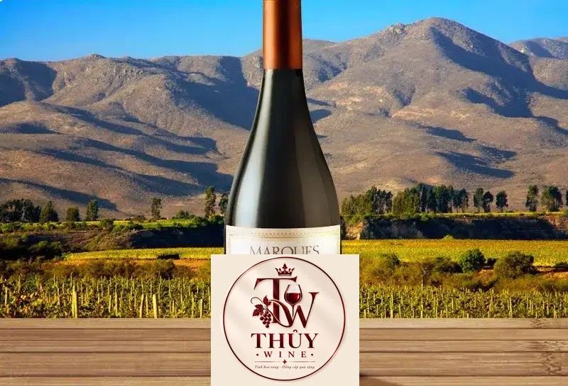 Vang Chile MARQUES CASA CONCHA Pinot Noir