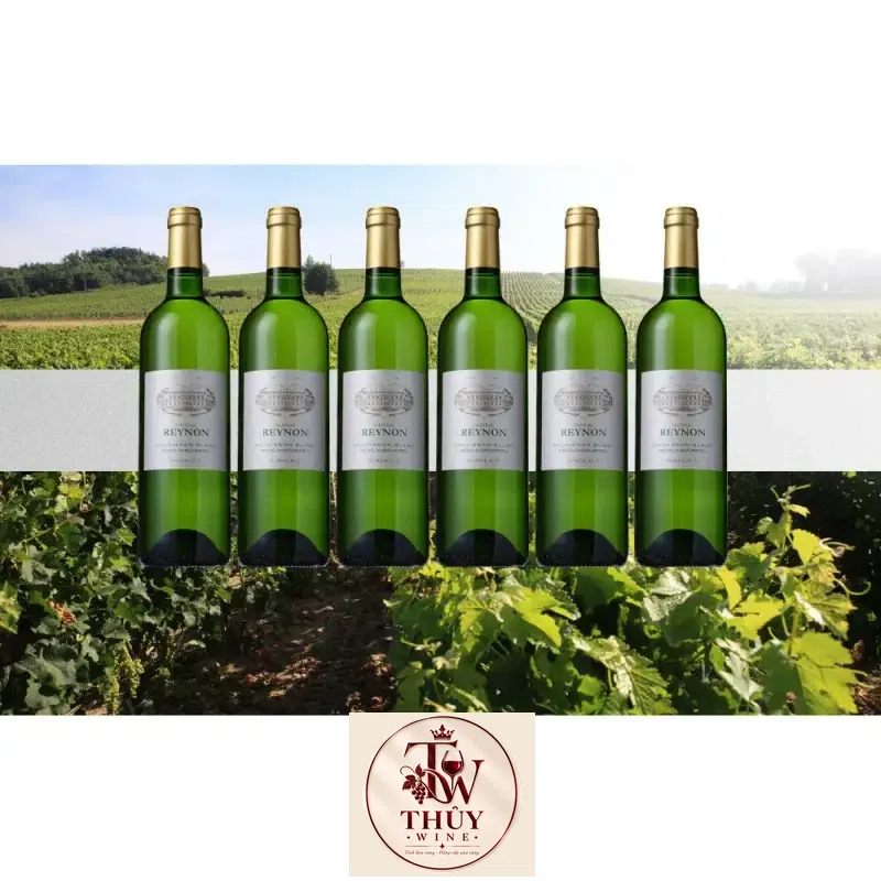 Mua vang phap chateau reynon sauvignon blanc bordeaux ở đâu giá rẻ nhất