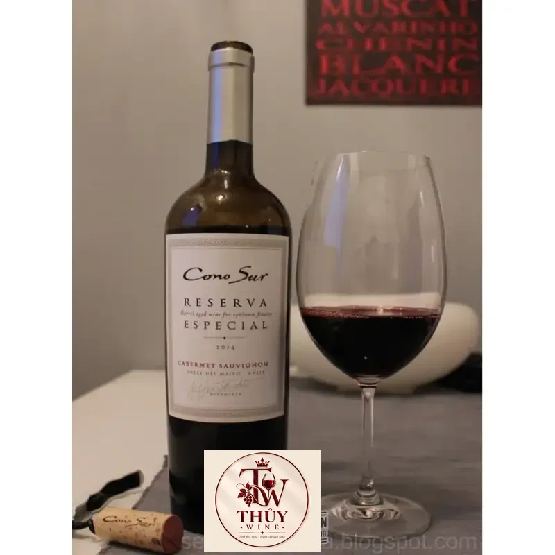 Vang Chile CONO SUR RESERVA ESPECIAL Cabernet Sauvignon