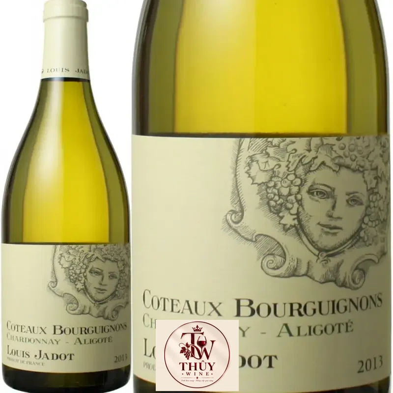Mua vang phap coteaux bourguignon louis jadot trang ở đâu giá rẻ nhất