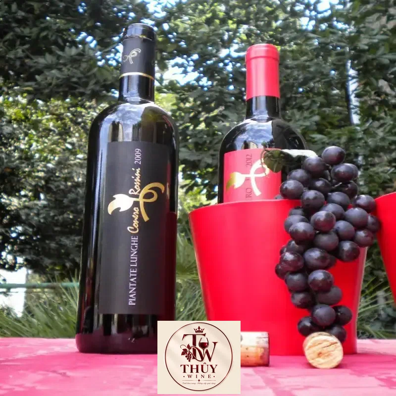 ruou vang y piantate lunghe rosso conero giá bao nhiêu