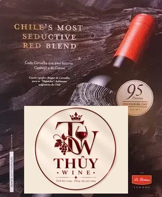 Vang Chile COYAM EMILIANA