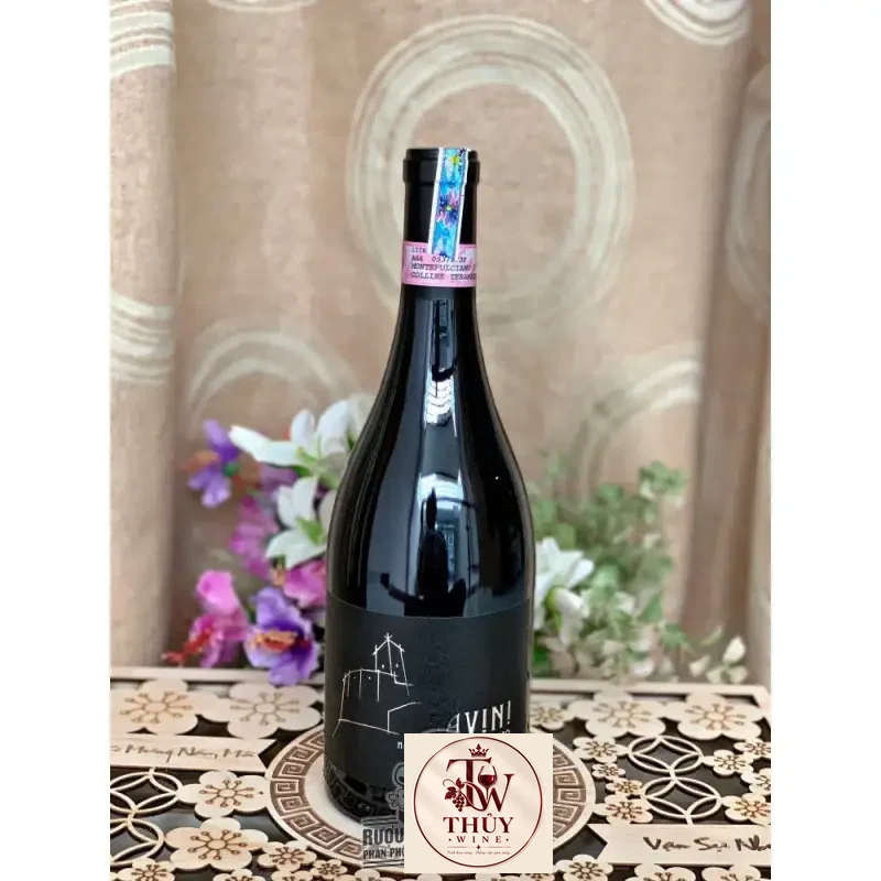 Địa chỉ mua ruou vang do chat savini montepulciano dabruzzo giá rẻ nhất