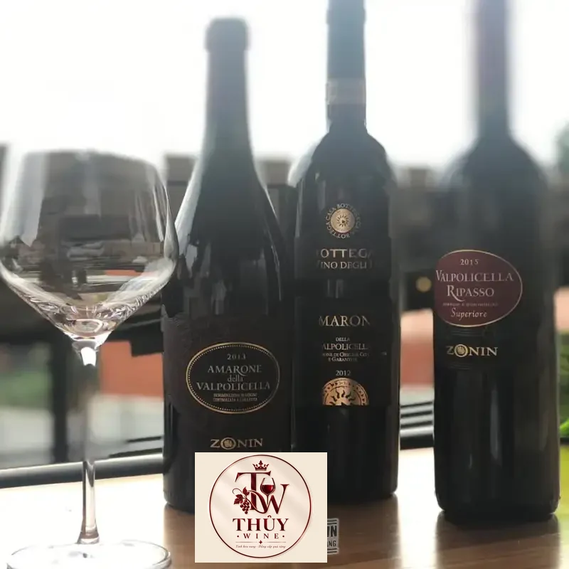 Địa chỉ bán vang y valpolicella ripasso superiore zonin veneto giá rẻ tại Sài Gòn