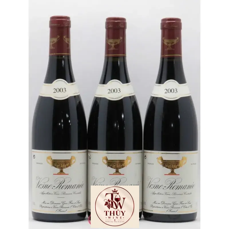 Vang Pháp Domaine Gros Frere et Soeur Vosne Romanee cao cấp