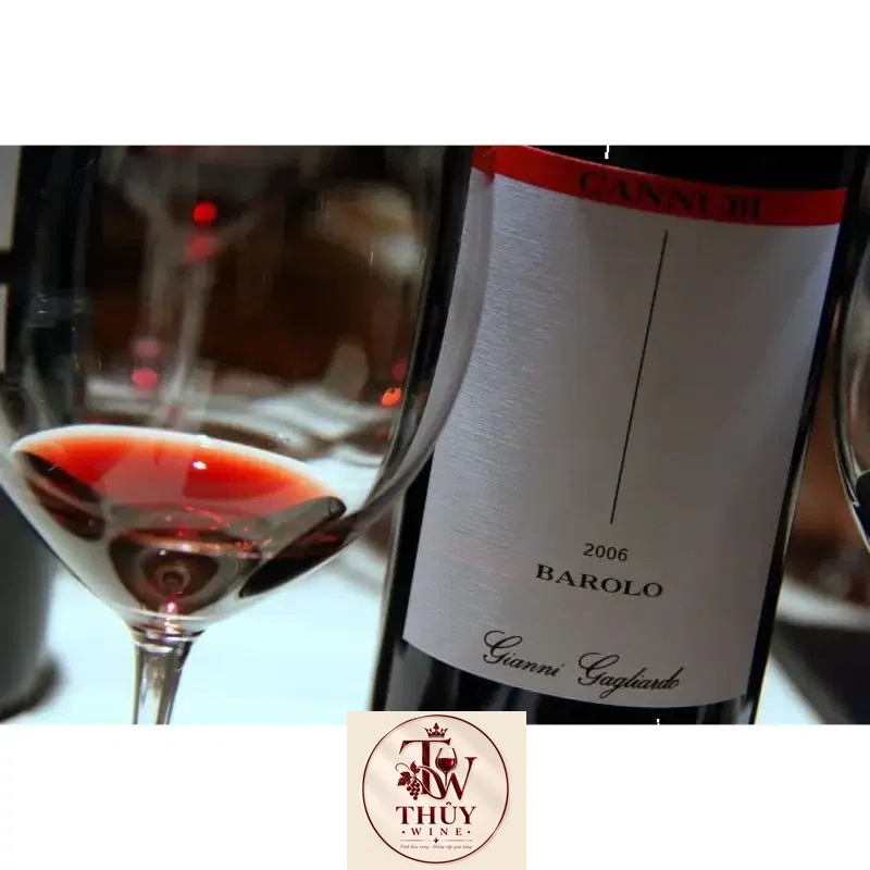 Vang Ý GIANNI GAGLIARDO BAROLO RISERVA CANNUBI