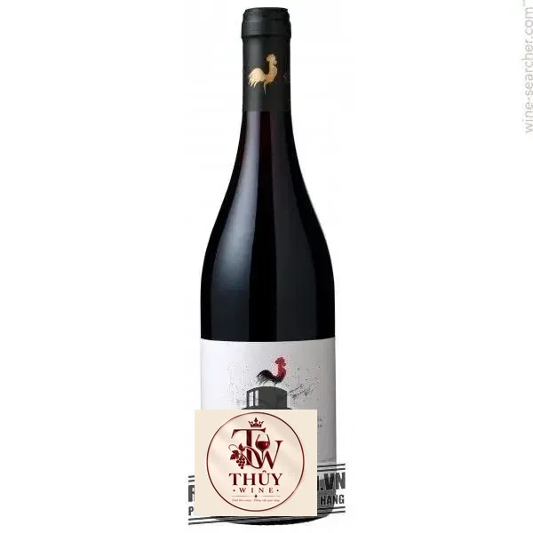 Vang Chile Cantoalba Shiraz