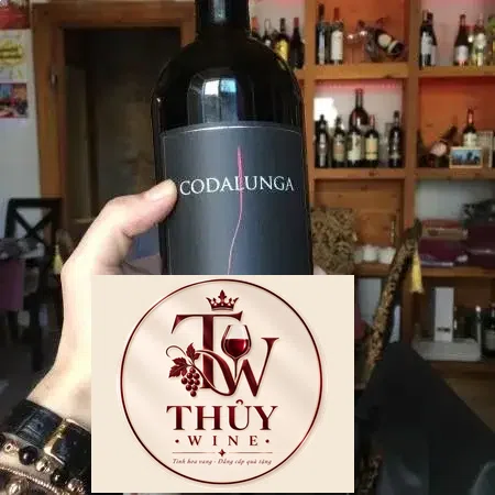 Vang Ý CODALUNGA AGLIANICO