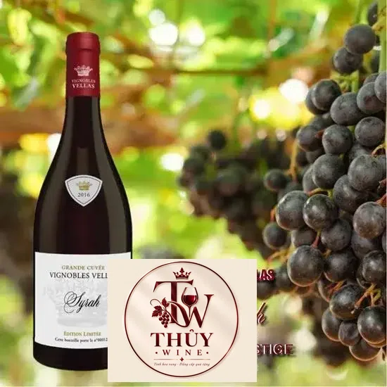 Vang Pháp VIGNOBLES VELLAS SYRAH 47 CUVEE PRESTIGE PAYS D‘OC