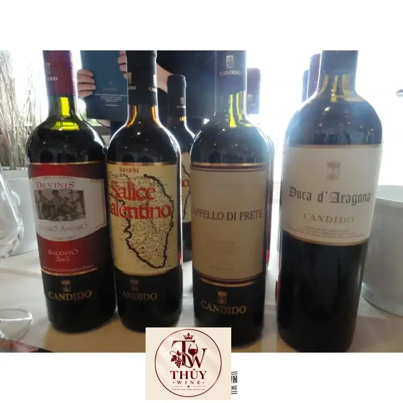 vang-y-candido-duca-daragona-salento-rosso-thuong-hang