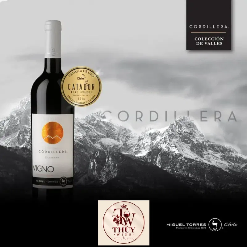 Vang Chile Cordillera Carmenere Migeul Torres