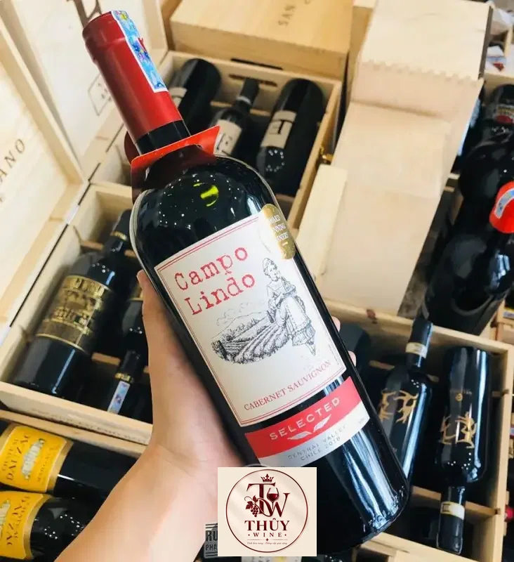 Giá sale: 235,000đ - Vang Chile Campo Lindo Selected hảo hạng
