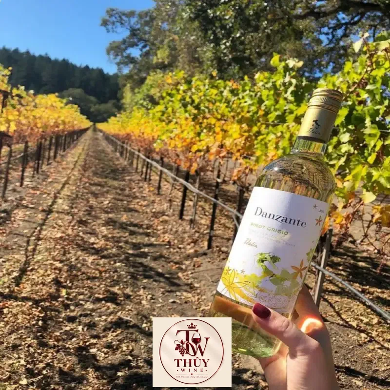 Mua vang y danzante pinot grigio veneto giá rẻ tại Sài Gòn