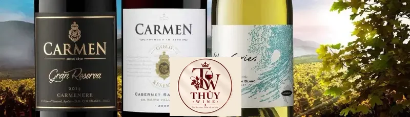 Vang Chile CARMEN GOLD RESERVA CABERNET SAUVIGNON