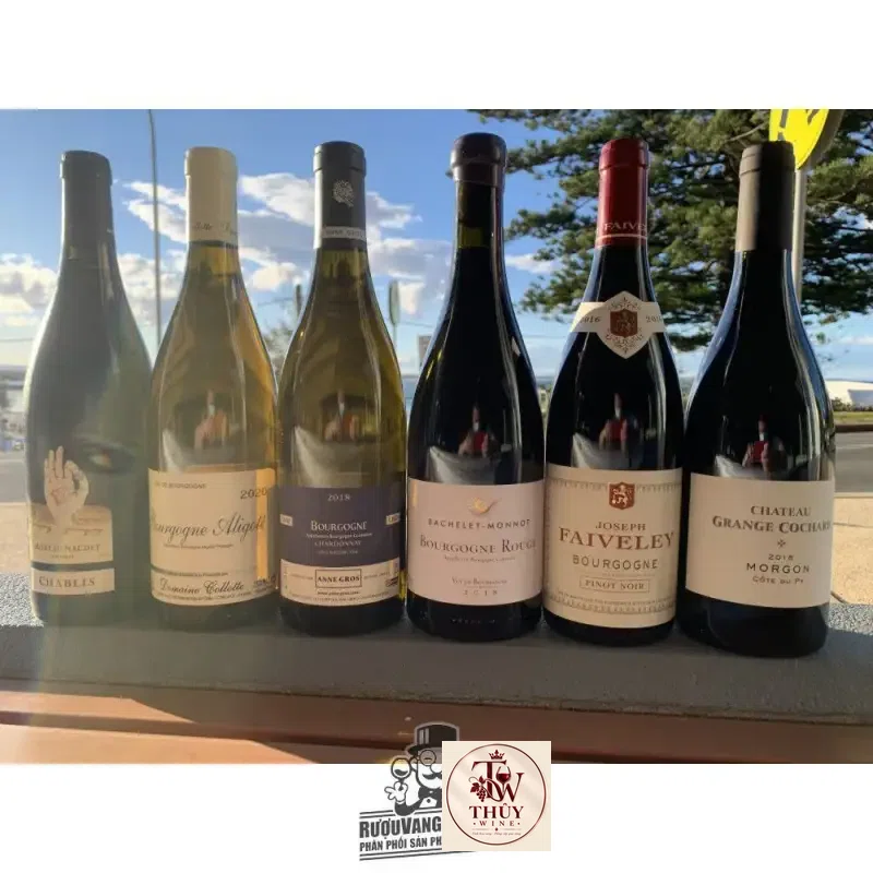 Địa chỉ bán vang phap faiveley bourgogne red white giá rẻ tại Hà Nội