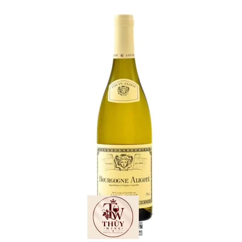 Vang Pháp Bourgogne Aligote Louis Jadot thượng hạng