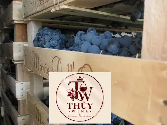 Vang Ý Amarone Castelrotto cao cấp