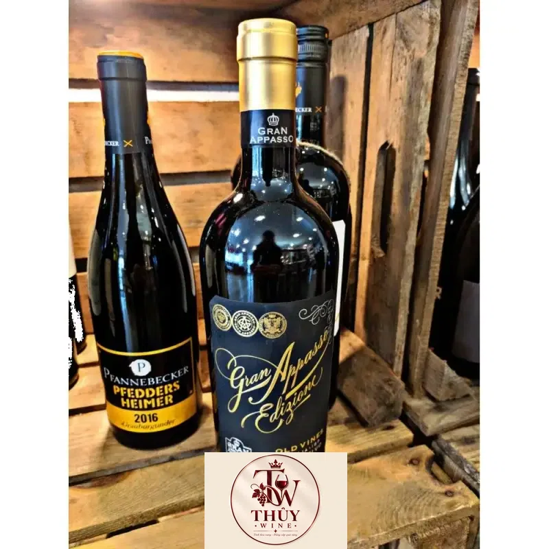 Vang Ý 16 ĐỘ GRAN APPASSO EDIZIONE OLD VINES