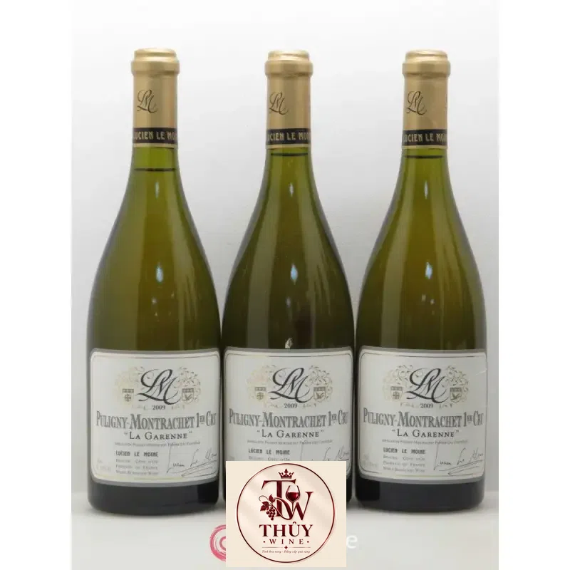 Địa chỉ mua vang phap puligny montrachet champs gains lucien le moine gia re giá rẻ nhất