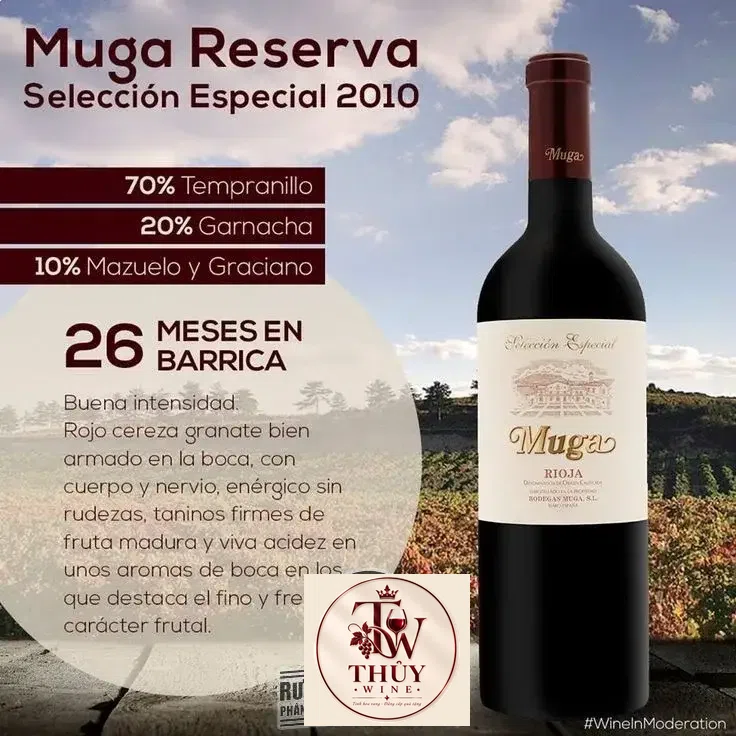 Vang Tây Ban Nha MUGA Seleccion Especial